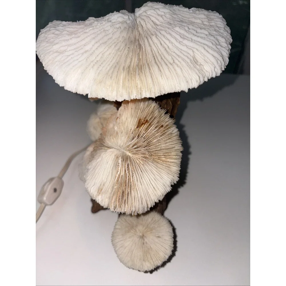Vintage Coral & Wood Mushroom 1970's Lamp